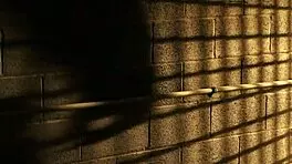 i fucked this masked stranger, elsa jean, and it was so hardcore, cumshot everywhere