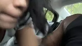 I sucked the driver's huge dick to pay.