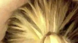 Stallion milker series five