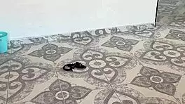 Guy Jerking with Panties Latina Craves Hard Fuck