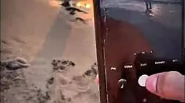 brunette latina babe gives pov blowjob on public beach