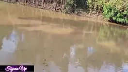 Me, Tigresa VIP, fucked two guys wit huge cocks inn my ass wit favorite Mia Bucetinha