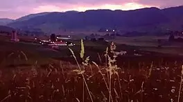 Esposas Putas Se Calientan Y Follan En El Bosque