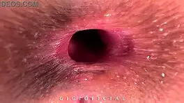 life story of gigioficial