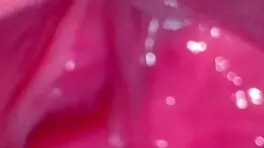 First Sex with a Virgin on Halloween Night 【16th Round】