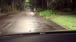 Novinha asiatica fodendo sem camisinha com motorista de aplicativo