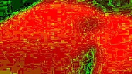 Hermoso culo hace muchos gemidos al ser follado por una gran verga