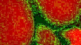 Hermoso culo hace muchos gemidos al ser follado por una gran verga