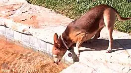 Behind The Scenes With Vanessa Cage In Private Moments