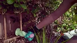 Pollen turns stepsis into a sperm dump