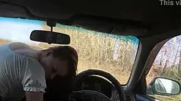 the brotherly figure fucked the sisterly figure in the car while in an open field