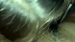 Beautiful woman comes home from work