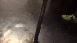 wanna grope this big ass girl's curves on the train?