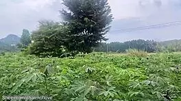 student babe fucked doggystyle by boyfriend and friend outdoors