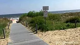 german blonde poses erotically with clothes ripped off