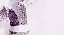 brunette babe strips hot lingerie fast