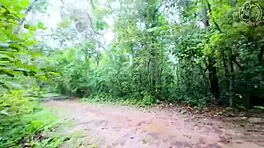 Thai babe bends over in forest for hot doggystyle pounding