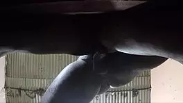 Pussy flooded with thick milk creampie homemade