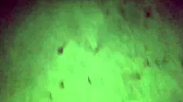 took my latina babe to beach fucked her virgin pussy public