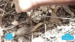 best outdoor ebony anal creampie huge cock twice public risk