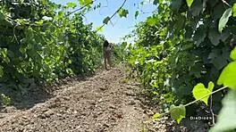 i caught shameless 18yo slut punished her assfucking farm garage gaping