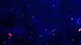 Sofia Smith screams in ecstasy from double anal huge BBC DAP