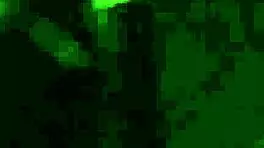 i show her how to cum or face the whip