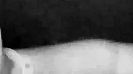 Raw Brazilian Housewife Gloryhole Swallows at Swingers Party Cuckold Fun