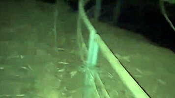 hot girlfriend's big boobs bounce in jungle hardcore fuck